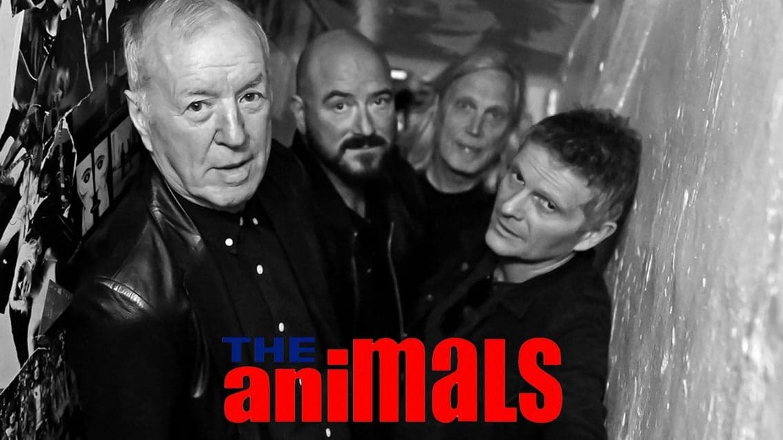 THE ANIMALS