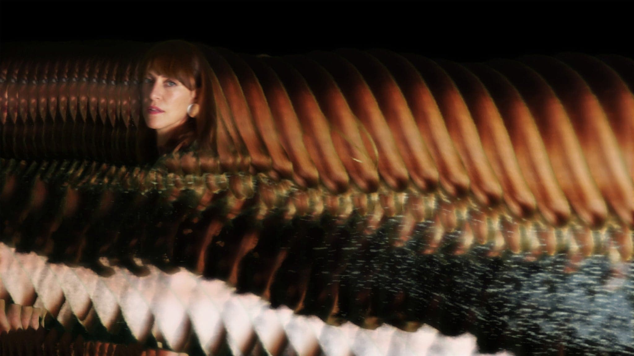 Feist canlı konser performansı ve gitarıyla sahnede