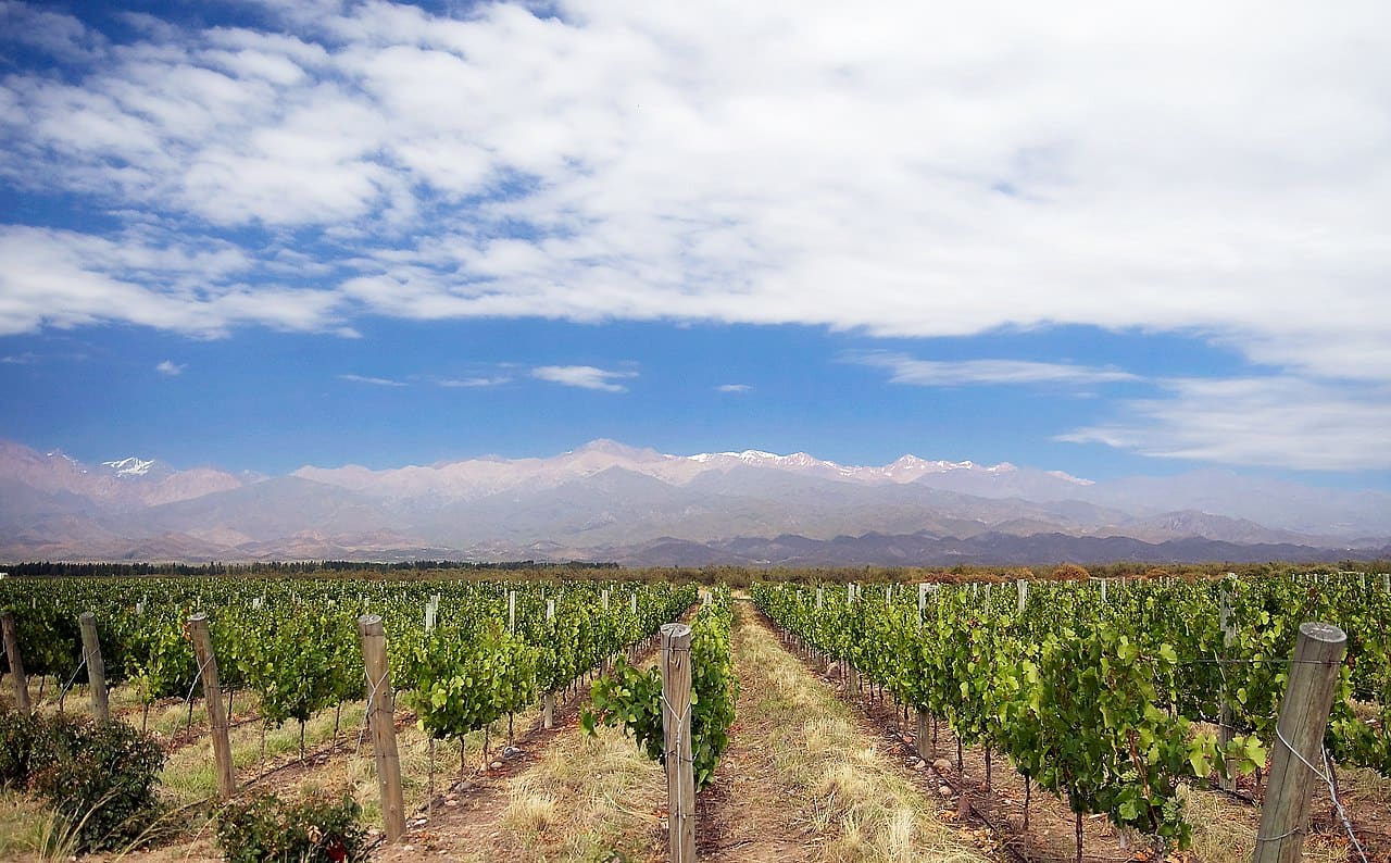 Mendoza Wine Region