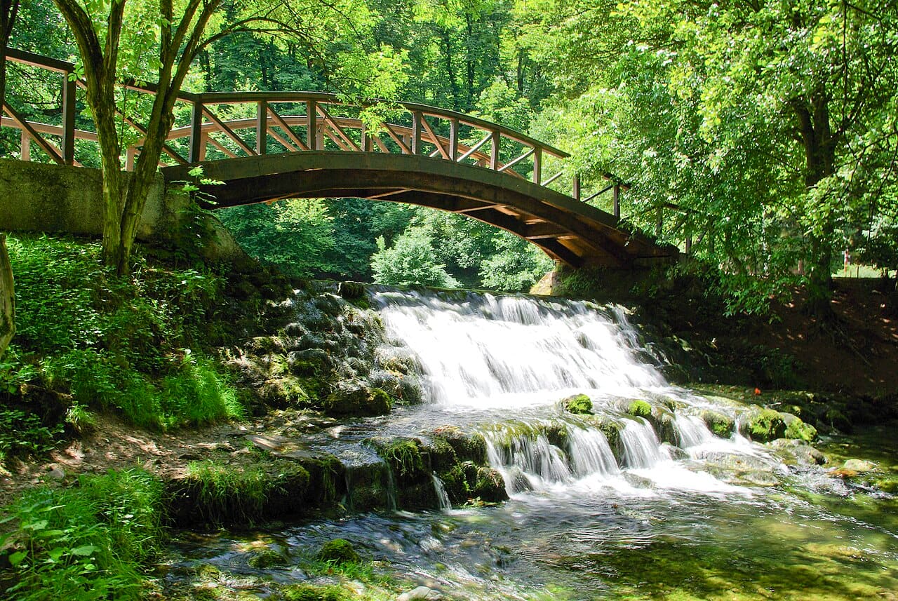 Vrelo Bosne at arabası yolu