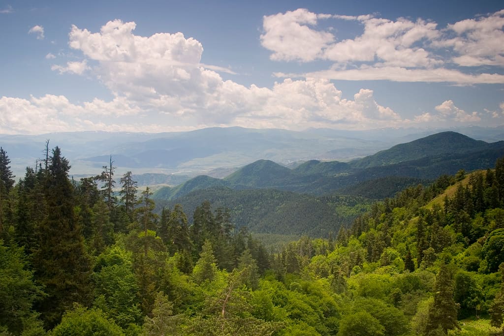 Borjomi vadisi
