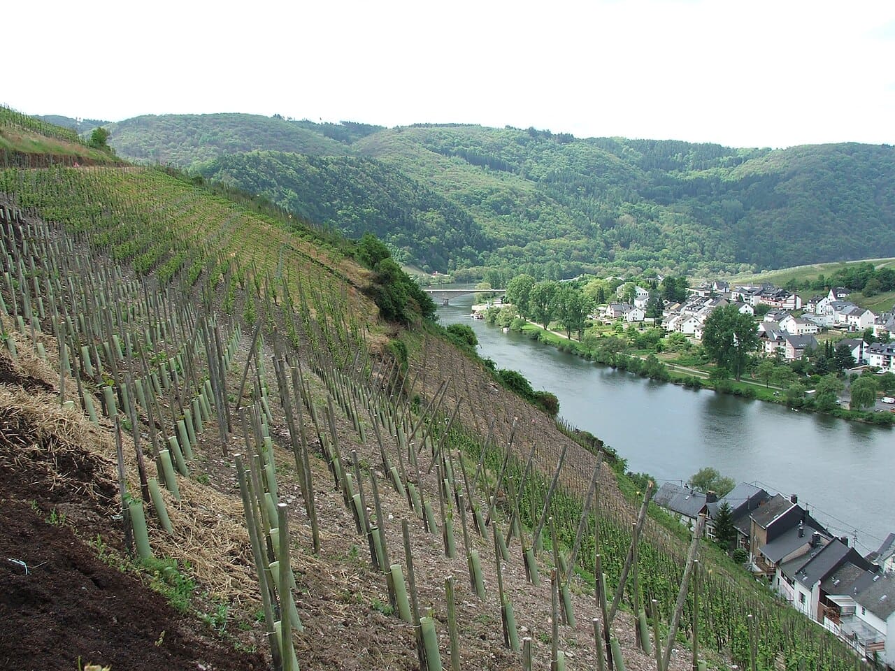Moselle Vadisi, Remich