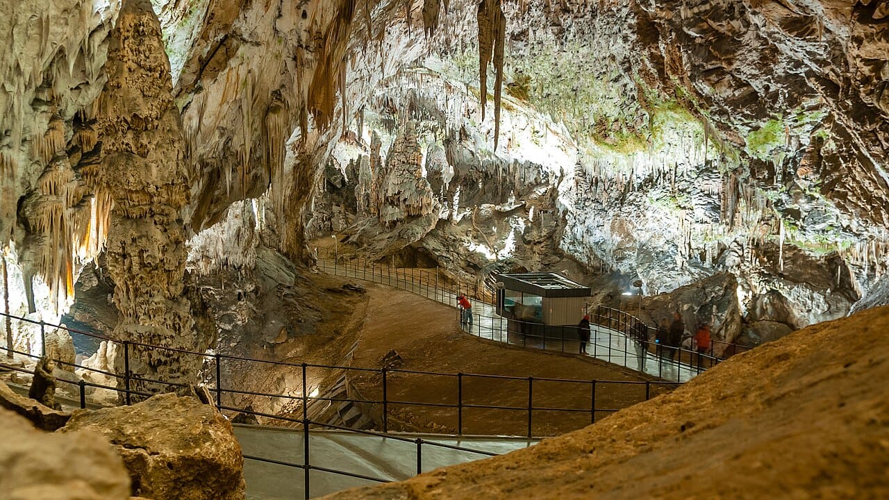 Postojna Mağarası, Postojna